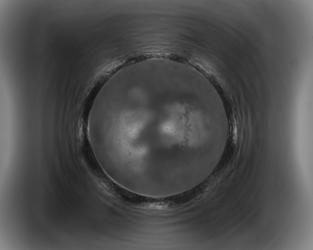 X0000086080692200703301129