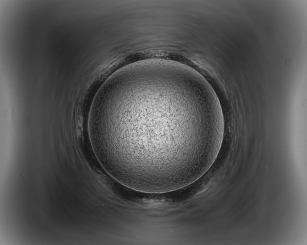 X0000086080693200703301129