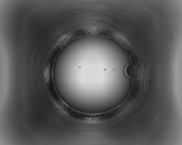 X0000086080694200703301129