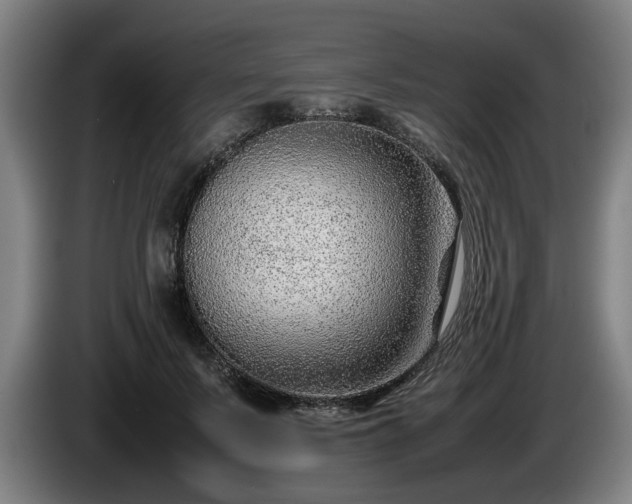 X0000086080695200703301129