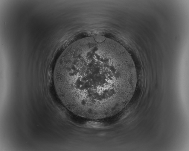 X0000086080699200703301129