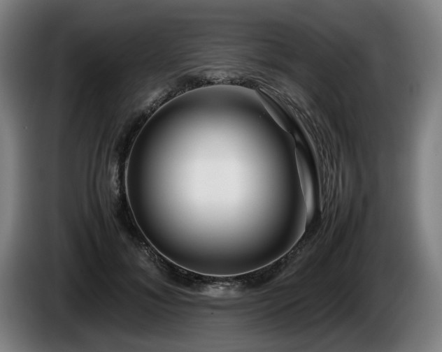 X0000086080700200703301129