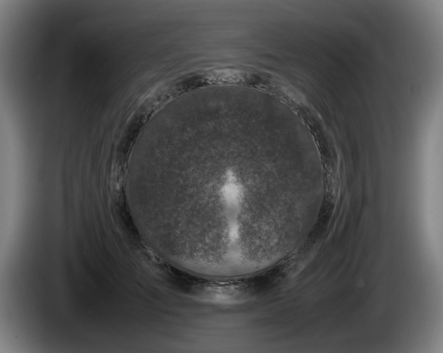 X0000086080701200703301129