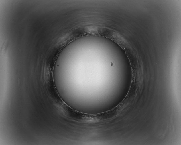 X0000086080702200703301129