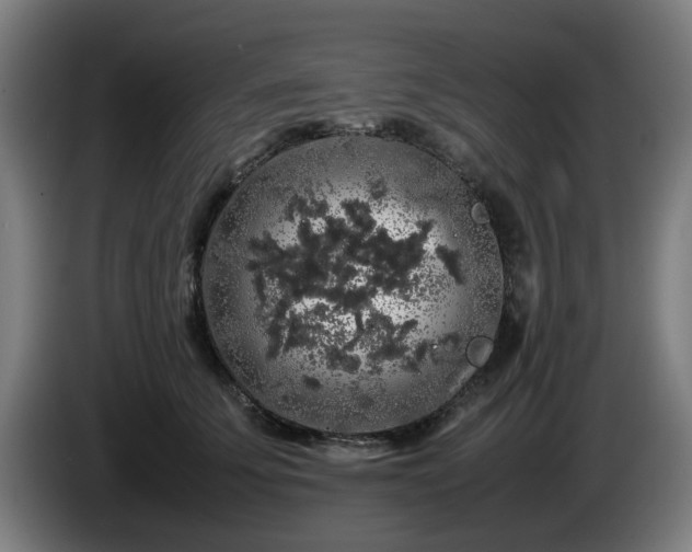 X0000086080707200703301129