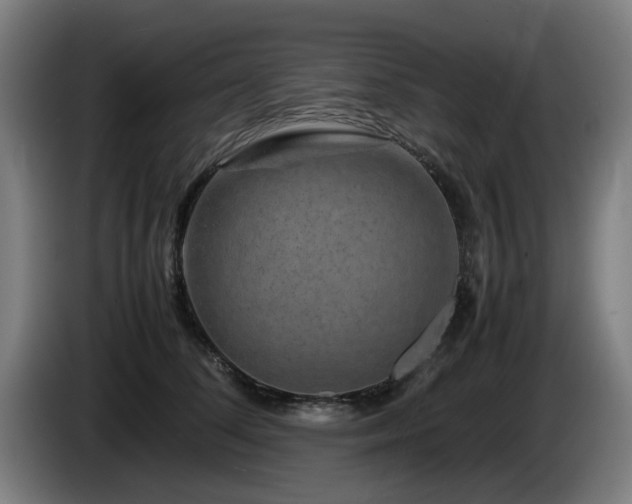 X0000086080708200703301129