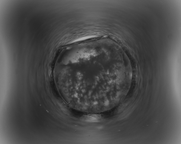 X0000086080711200703301129