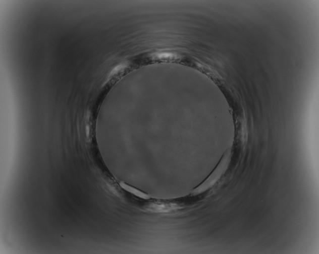 X0000086080712200703301129