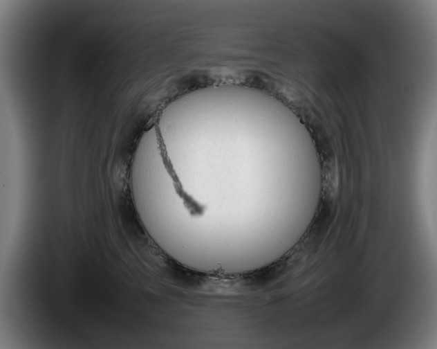 X0000086080713200703301129