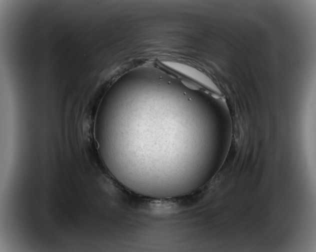 X0000086080714200703301129