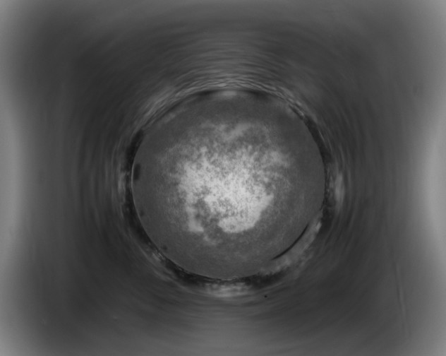 X0000086080716200703301129