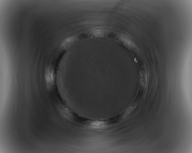 X0000086080718200703301129