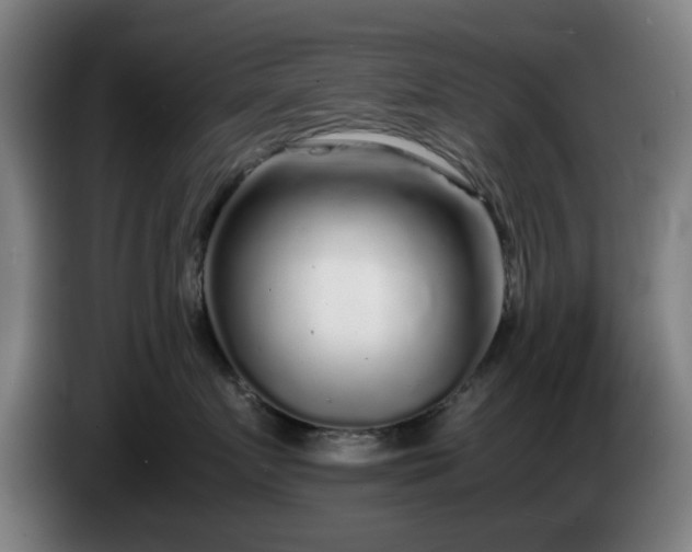 X0000086080719200703301129