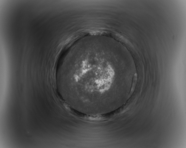 X0000086080720200703301129