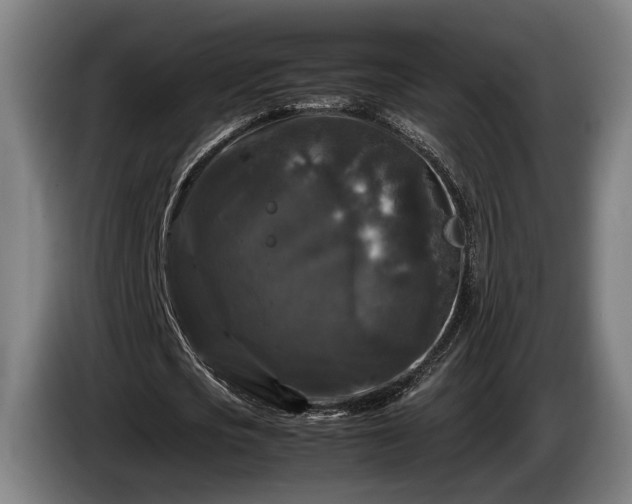 X0000086080721200703301128