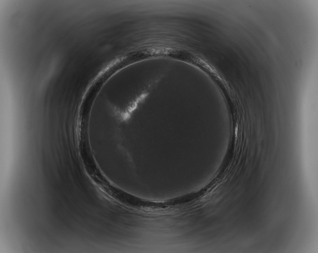 X0000086080722200703301128