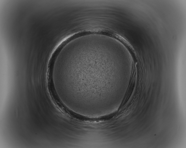 X0000086080724200703301128