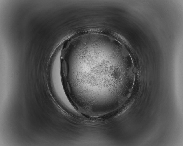 X0000086080725200703301128