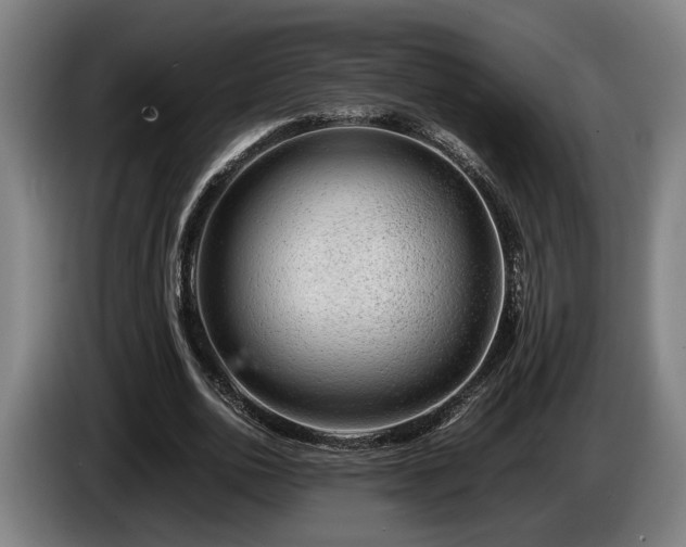 X0000086080726200703301128