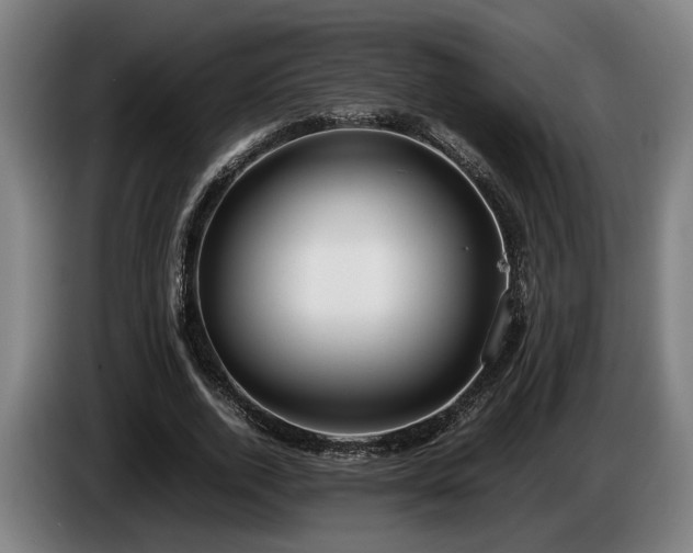 X0000086080728200703301128