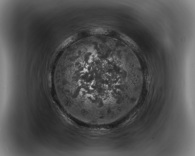 X0000086080729200703301128