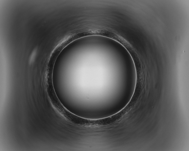 X0000086080730200703301128