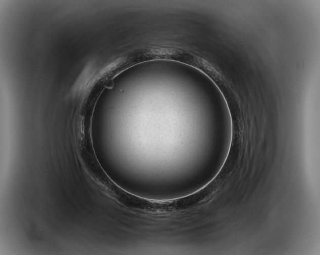 X0000086080731200703301128