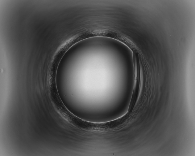 X0000086080732200703301128