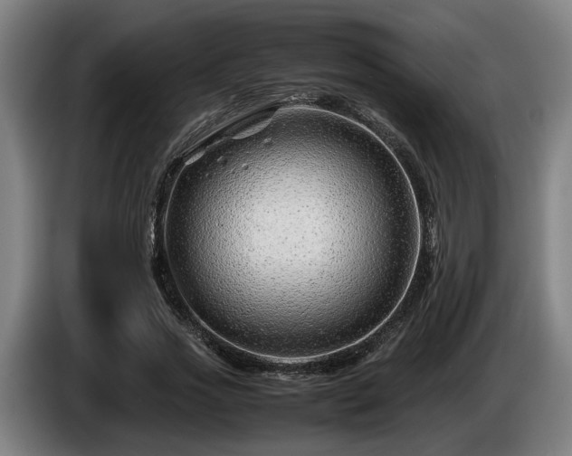 X0000086080733200703301128