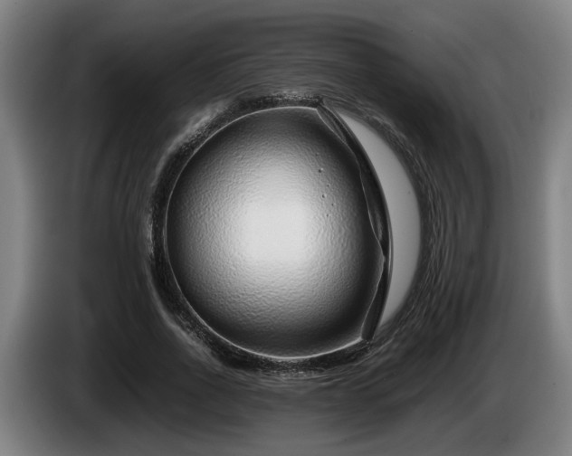 X0000086080734200703301128