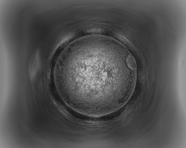 X0000086080735200703301128