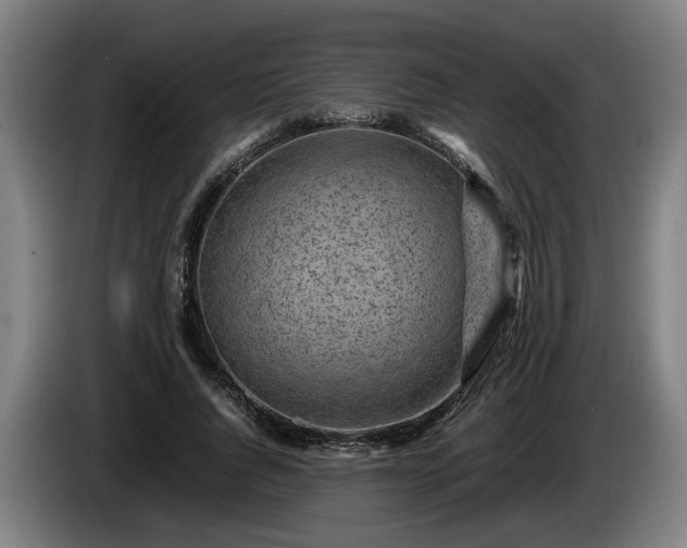 X0000086080736200703301128