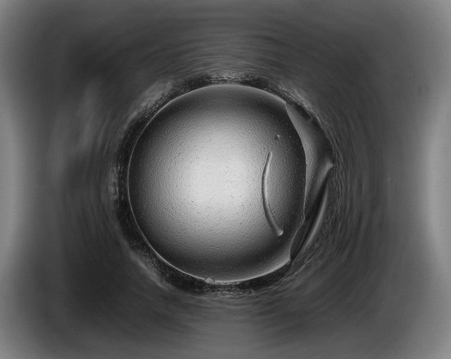 X0000086080738200703301128