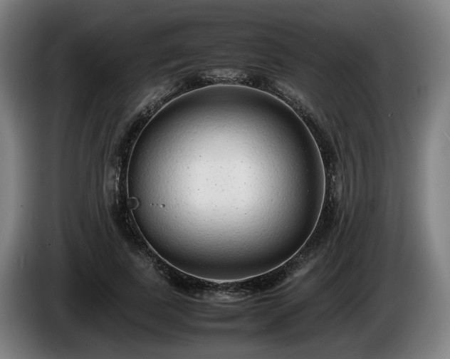 X0000086080739200703301128