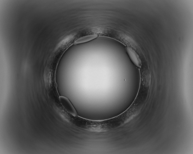 X0000086080740200703301128