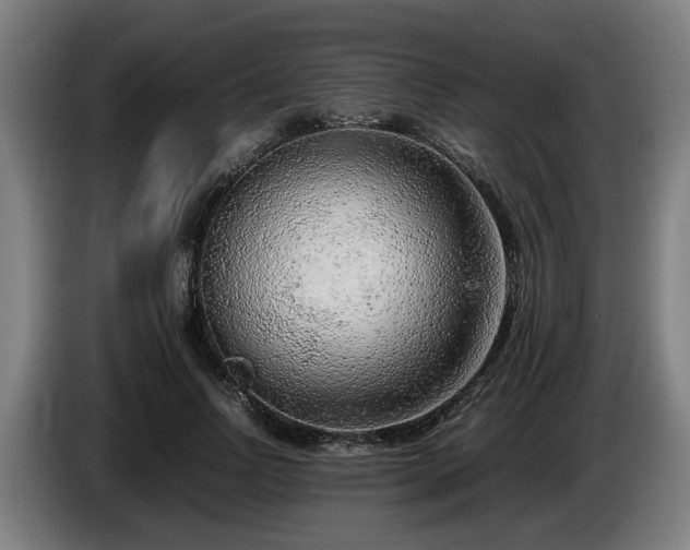 X0000086080742200703301128