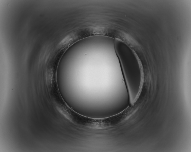 X0000086080744200703301128