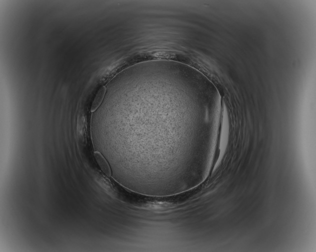 X0000086080748200703301128