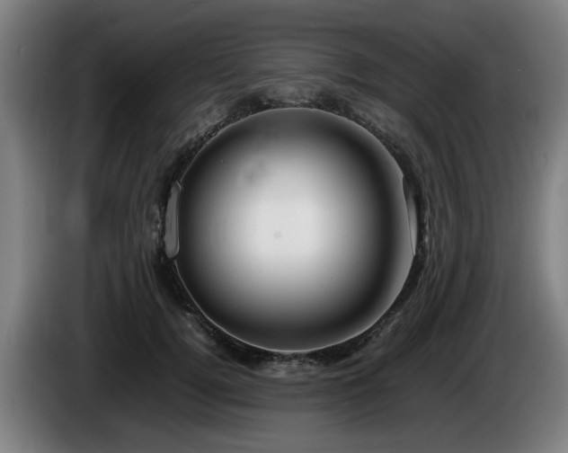 X0000086080752200703301128