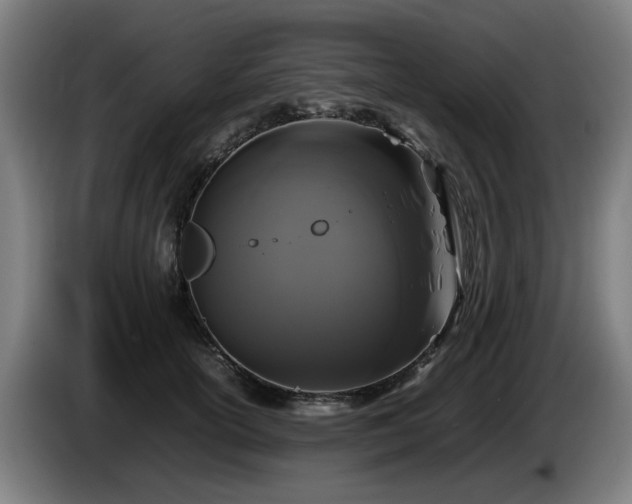 X0000086080754200703301128