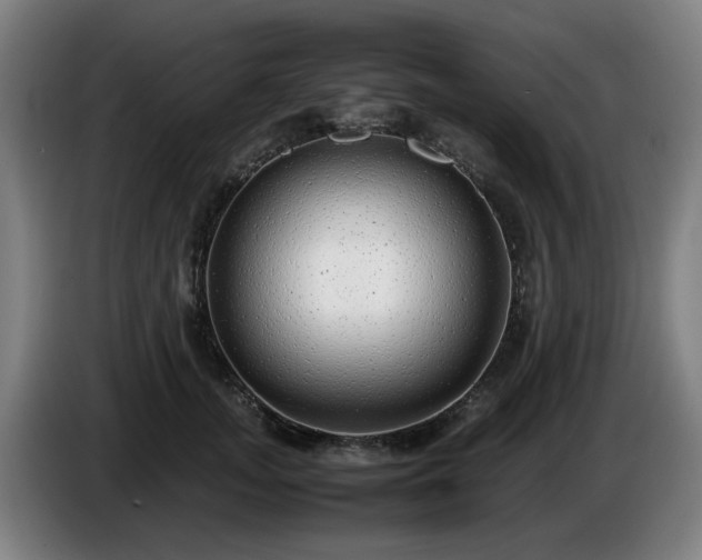 X0000086080755200703301128