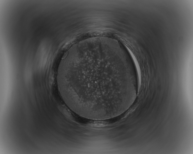 X0000086080758200703301128