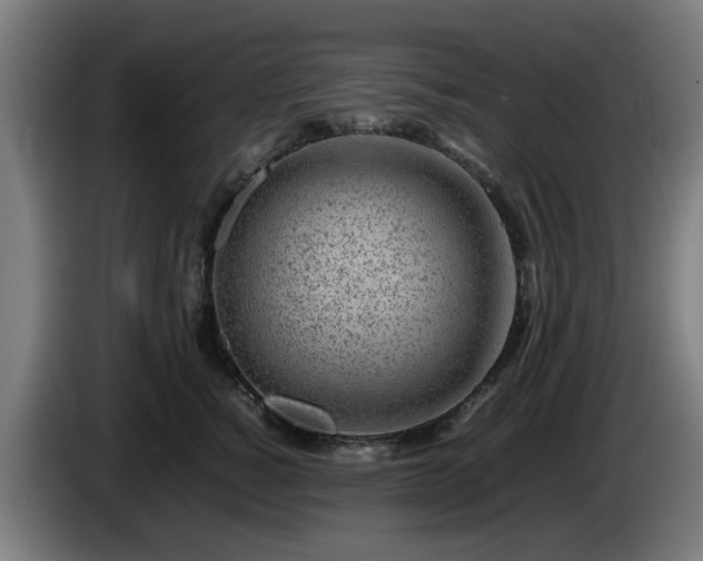 X0000086080760200703301128