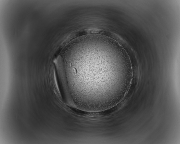 X0000086080761200703301128