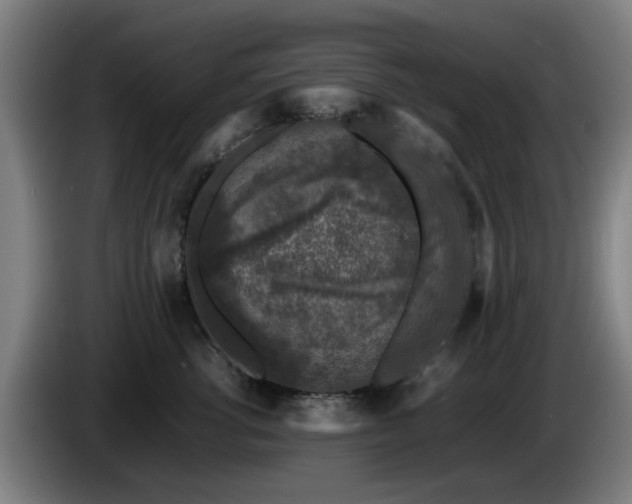 X0000086080762200703301128