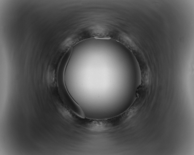 X0000086080764200703301128