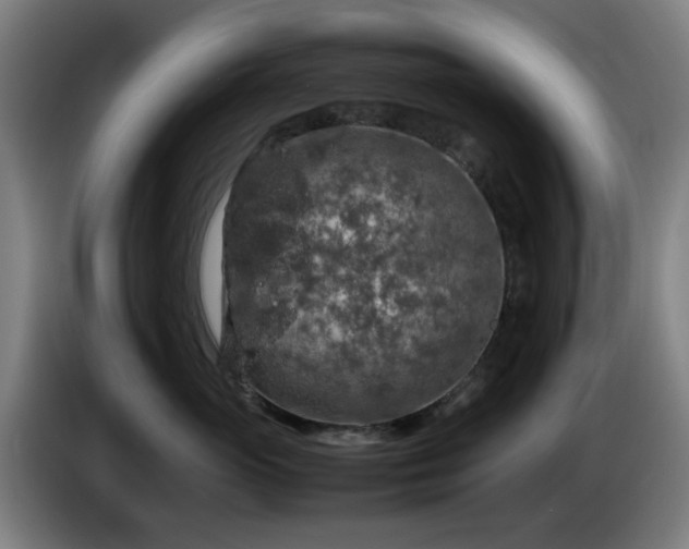 X0000086080765200703301128