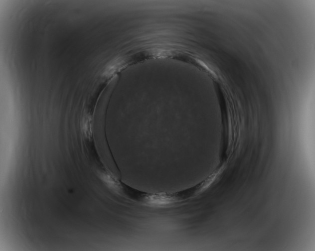 X0000086080766200703301128