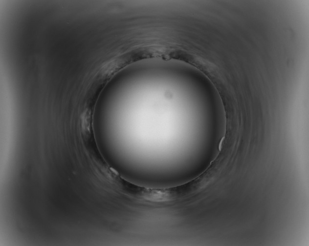 X0000086080768200703301128