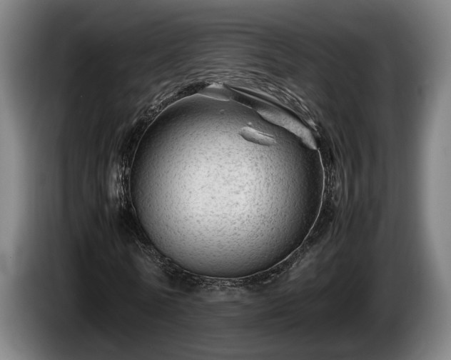 X0000086080770200703301128